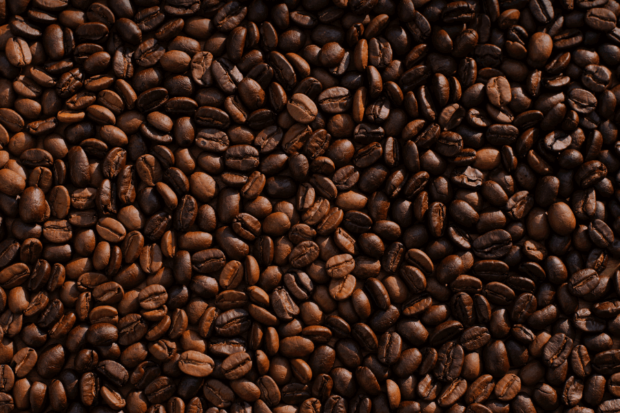 Harvesting Coffee