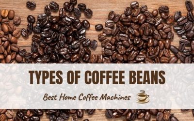 A Guide to the 4 Main Types of Coffee Beans