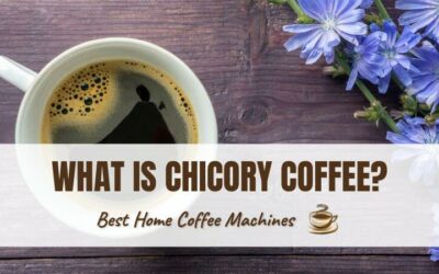 What Is Chicory Coffee? How It’s Gone from Plant to Coffee