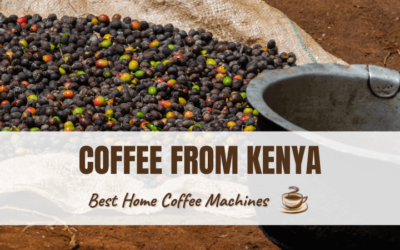 Coffee From Kenya — What Makes This Coffee Special