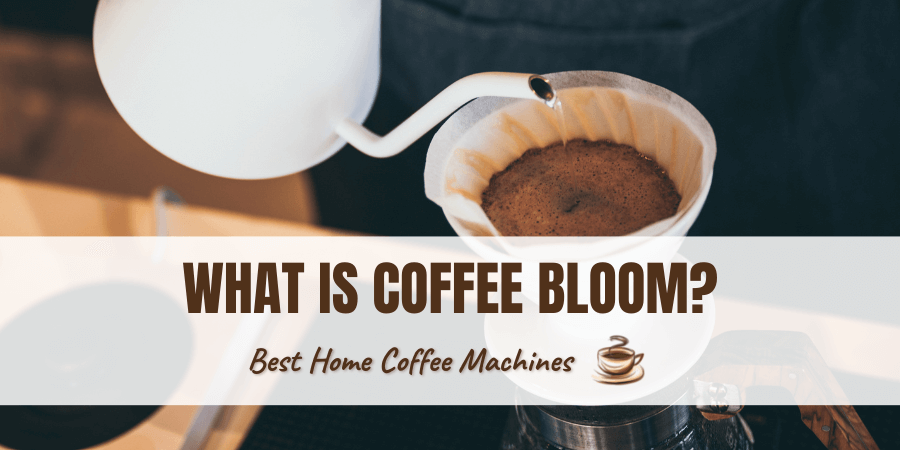 What is Coffee Bloom.