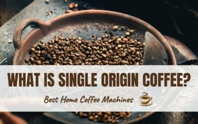 What is Single Origin Coffee? Your Complete Guide