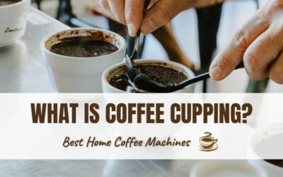 What Is Coffee Cupping? How This Unique Process Works