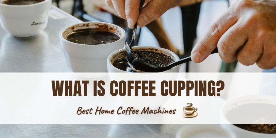 What is Coffee Cupping.