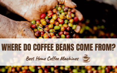 From Ground to Grounds: Where Do Coffee Beans Come From?